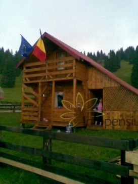 Cabana Aurel | Cazare Padis